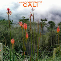 Aerodroemme - Cali