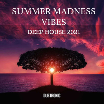 Various Artists - Summer Madness Vibes Deep House 2021