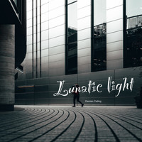 Lunatic light - Damien Calling