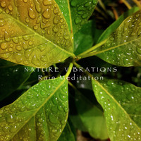 Nature Vibrations - Rain Meditation