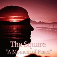The Square - A Moment of Peace