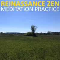 Reinassance Zen - Meditation Practice