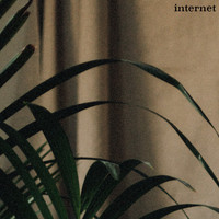 Francis Lung - Internet