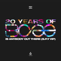 BCee, S.P.Y - Is Anybody out There? (S.P.Y VIP)