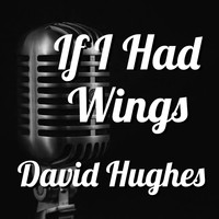 David Hughes - If I Had Wings David Hughes