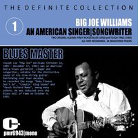 Big Joe Williams - An American Singer, Songwriter, Blues Master, Vol. 1