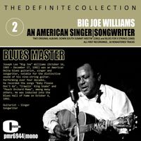 Big Joe Williams - An American Singer, Songwriter, Blues Master, Vol. 2