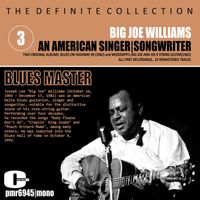 Big Joe Williams - An American Singer, Songwriter, Blues Master, Vol. 3