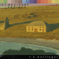 T.K. Bollinger - Ordinary Endings