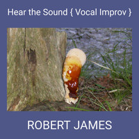 Robert James - Hear the Sound  { Vocal Improv }