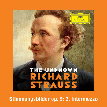 Stefan Vladar - Strauss: Stimmungsbilder, Op. 9: No. 3 Intermezzo