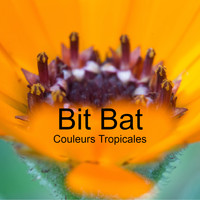 Bit Bat - Couleurs Tropicales