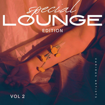 Various Artists - Special Lounge Edition, Vol. 2