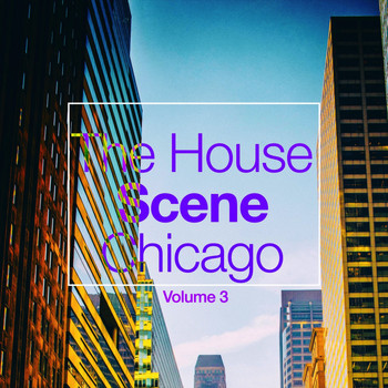 Various Artists - The House Scene: Chicago, Vol. 3 (A DJ House Selection)