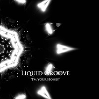 Liquid Groove - I'm Your Honey
