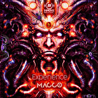 Macco - Experience