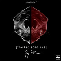 PMX Soundz - The LSD Soldiers (2021 Edit)