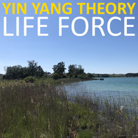 Yin Yang Theory - Life Force