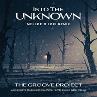 The Groove Project - Into The Unknown (Melloe D LoFi Remix)