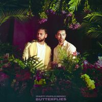 MAX & Ali Gatie - Butterflies (Party Pupils Remix)