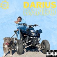 Darius - Bando