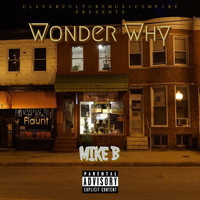 Mike B - Wonder Why
