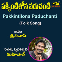 SRINIVAS - Pakkintilona Paduchanti