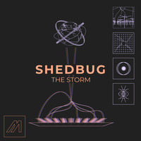 Shedbug - The Storm