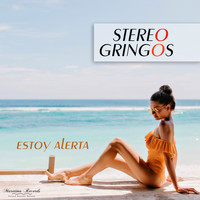 Stereo Gringos - Estoy Alerta (Be Careful Mix)