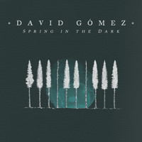 David Gómez - Spring in the Dark