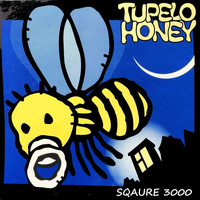 Tupelo Honey - Square 3000