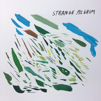 Strange Pilgrim - Blue Light (Remix)