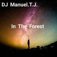 DJ Manuel.T.J. - In the Forest