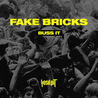 Fake Bricks - Buss It