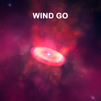 Zakir - Wind Go