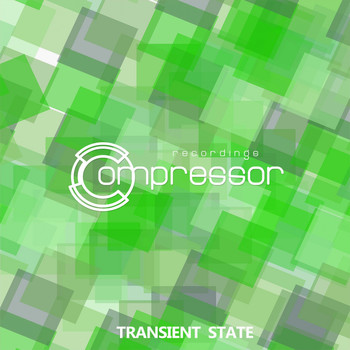 Various Artists - Transient State
