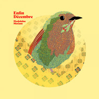 Marjolaine Morasse - Enfin décembre