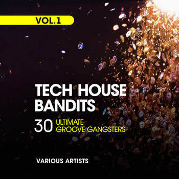 Various Artists - Tech House Bandits (30 Ultimate Groove Gangsters), Vol. 1