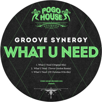Groove Synergy - What U Need