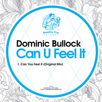 Dominic Bullock - Can U Feel It