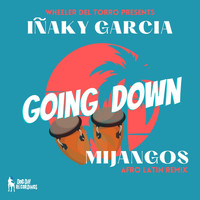 Inaky Garcia - Going Down