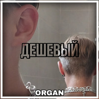 Organ - Дешëвый