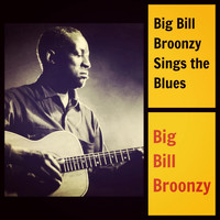 Big Bill Broonzy - Big Bill Broonzy Sings the Blues