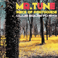 Mr.Tune - Piece of Portuguese (Club Squisito Remix)