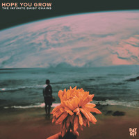 The Infinite Daisy Chains - Hope You Grow