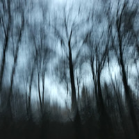 The Alchemical Theory - Komorebi