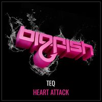 TEQ - Heart Attack