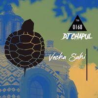 Dj Chapul - Vecha Sahi