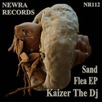 Kaizer The DJ - Sand Flea EP