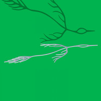 Astrid Sonne - outside of your lifetime